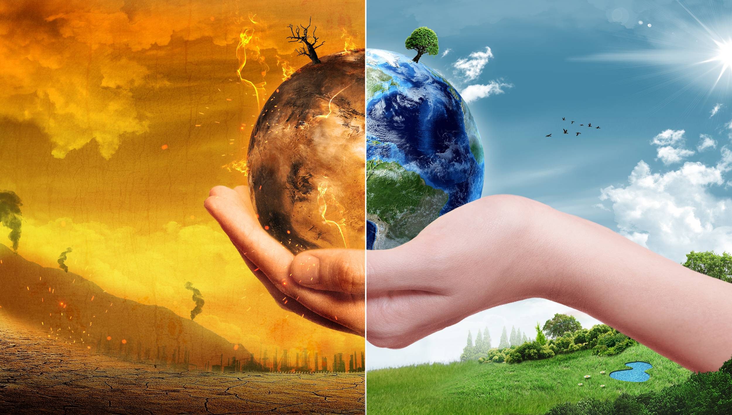 Environment