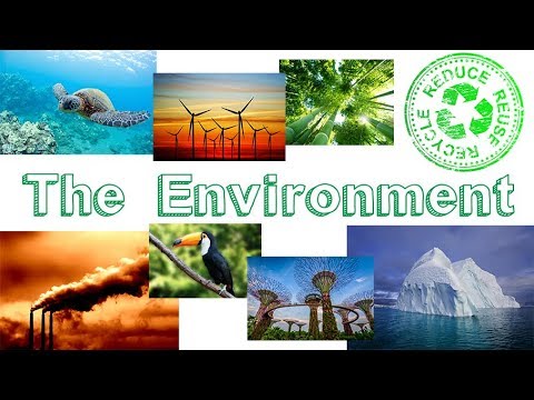Environment