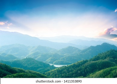 Environment