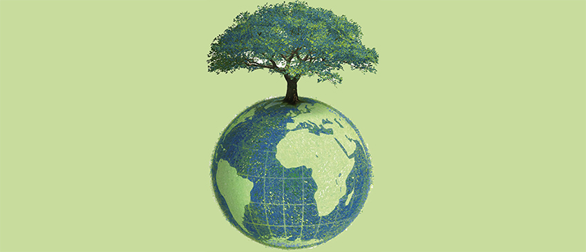 Environment