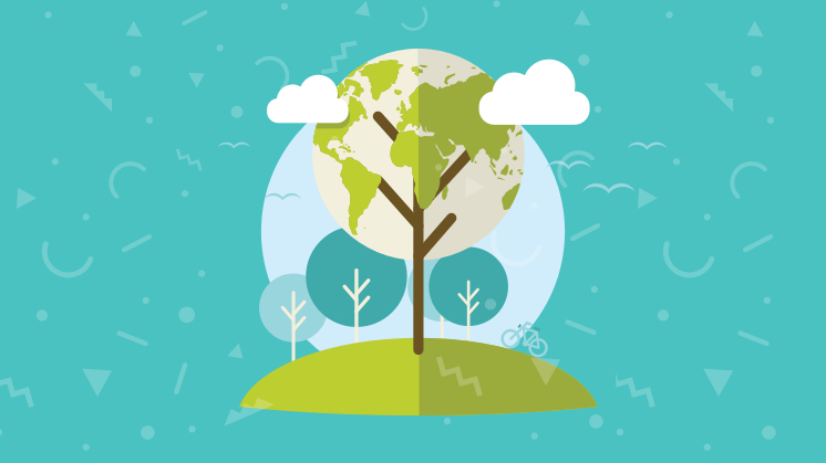 Environment