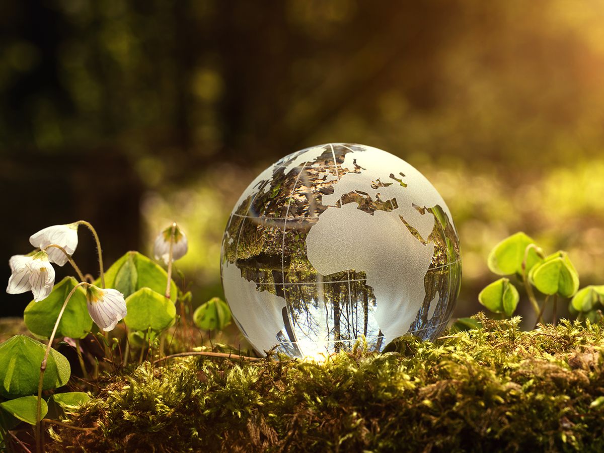 Environment