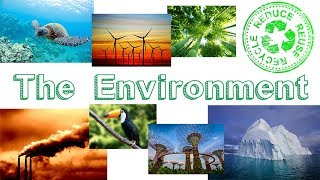 Environment